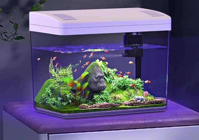 楽天市場】水槽 29cm 小さめ 小型 魚 ペット 金魚水槽 透明 タンク 蓋