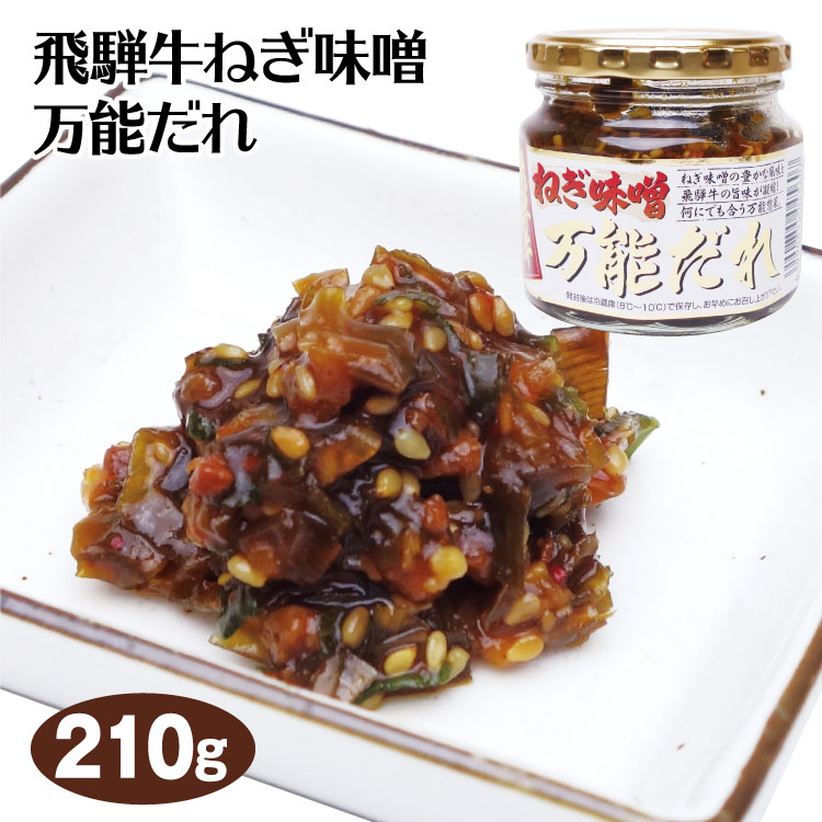 飛騨牛ねぎ味噌 210g×5個 送料無料 飛騨のソウルフード 郷土料理 ねぎ味噌天ぷら 飛騨牛ねぎ 味噌万能だれ 惣菜 おかず ご飯のおとも  飛騨高山 飛騨 岐阜 ふく福 おみやげ ふく福