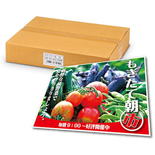 中川製造所 レーザ印刷人専用耐水紙 ラミフリー Ａ３ ２５０枚  000334 552-8183