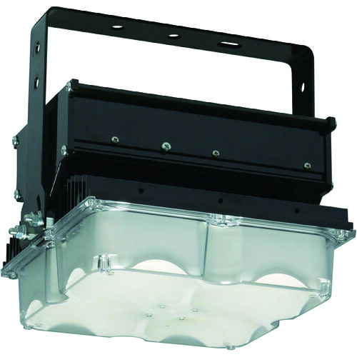 日立 高上昇限度用ＬＥＤ照明ランプ（原則として型） 明るさ１７０００ｌｍ  MTE17AMNJ14B 116-1960