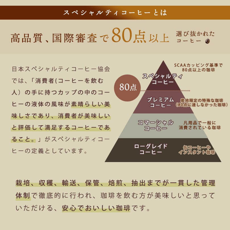 初回限定☆赤字超特価！／ お試しセット スペシャリティコーヒー 【 お