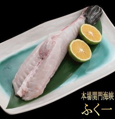 唐揚げ・お鍋のぶつ切りに！　1.1～1.3キロサイズのとらふぐの身欠き丸ごと1本<BR>【セット商品に同梱で2000円引】<BR>フグ 河豚 ふぐ刺身 ふぐちり ふぐ てっさ  お歳暮 お取り寄せ【送料無料】【代引手数料無料】【#元気いただきますプロジェクト】
