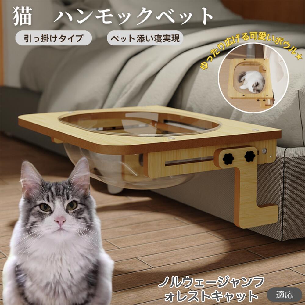 楽天市場】【5倍ポイント】 ノルウェージャンフォレストキャット 猫