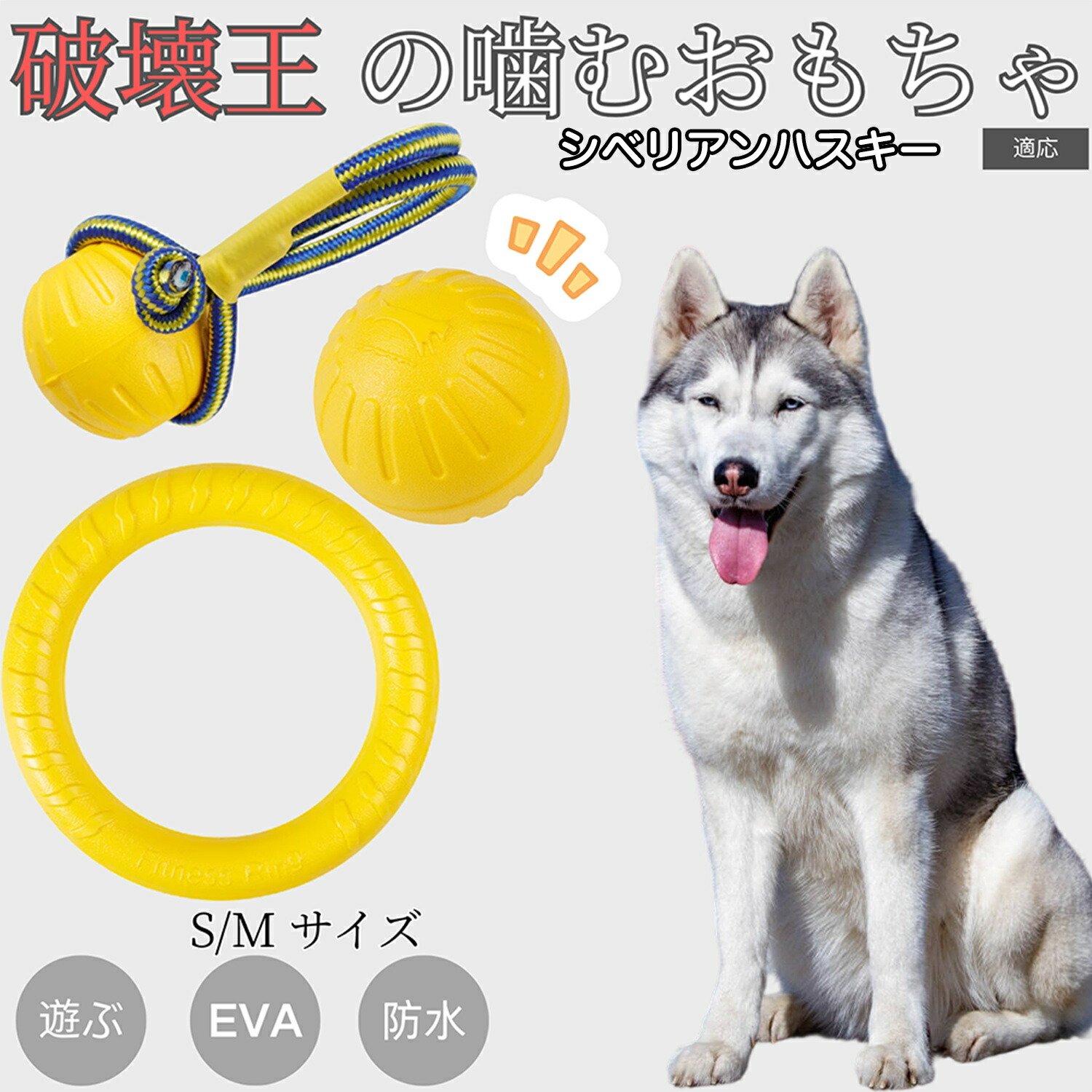 楽天市場】【5倍ポイント】 シベリアンハスキー犬 ハスキー 犬おもちゃ