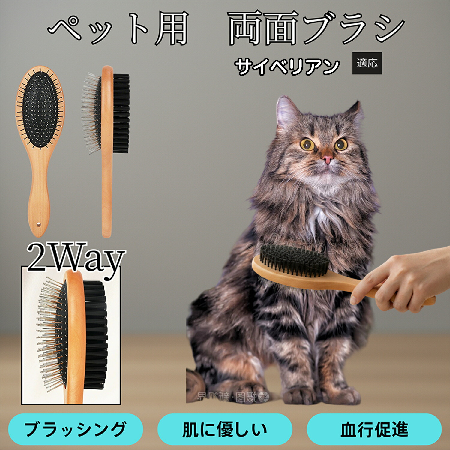 楽天市場】【5倍ポイント】 サイベリアン猫種 サイベリアン ペット用