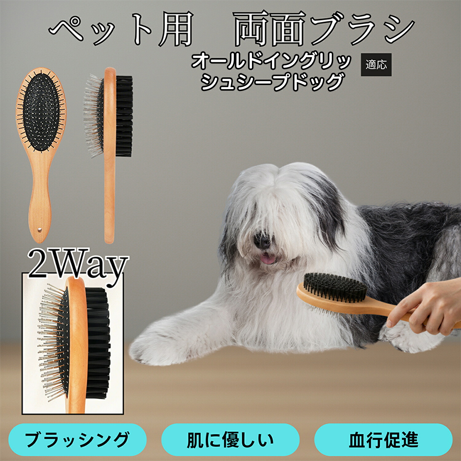 楽天市場】【5倍ポイント】 オールドイングリッシュシープドッグ犬