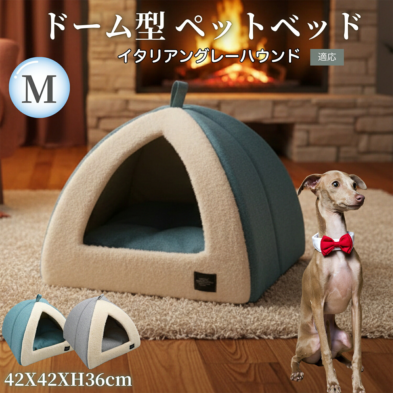 楽天市場】【5倍ポイント】 イタリアングレーハウンド犬 イタグレ 
