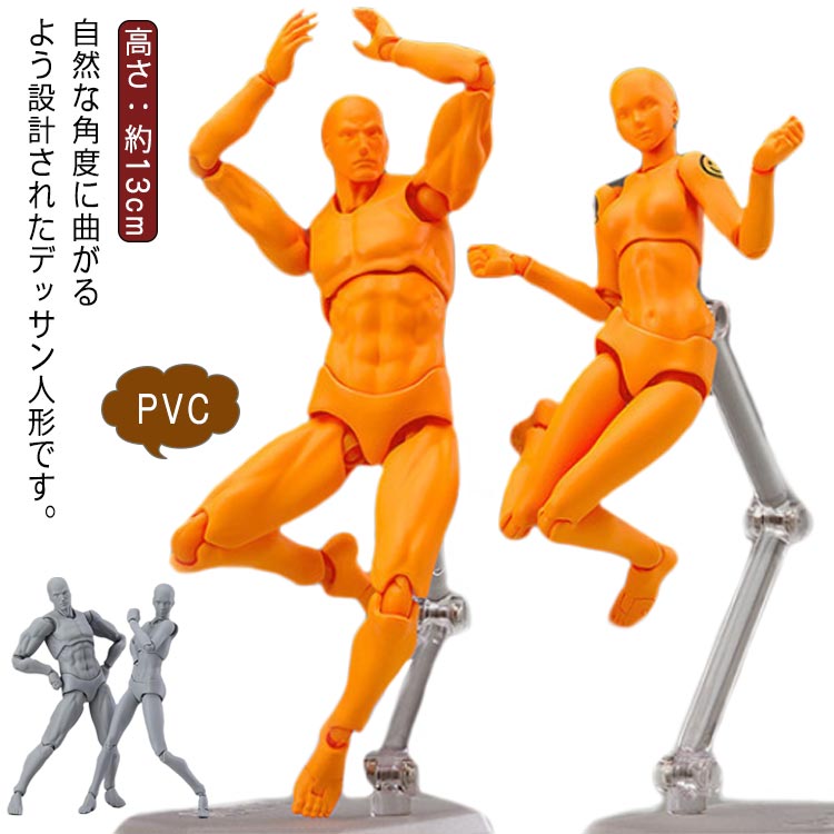 楽天市場】デッサン人形 モデル人形 デッサンドール フィギュア 漫画