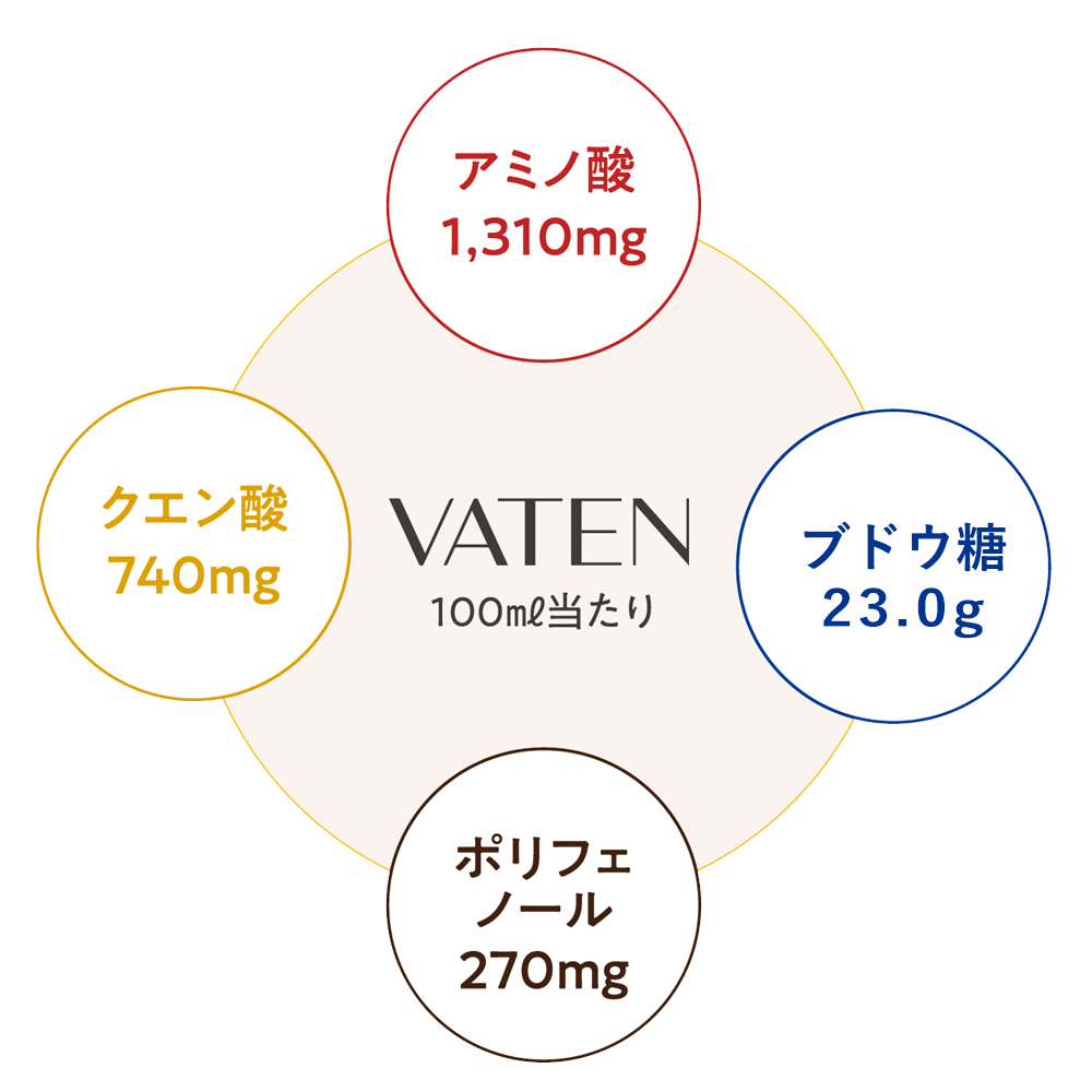 市場 VATEN 栄養ドリンク 20本 100mL 10本入× 公式 ２箱 送料無料 ミトコンドリア活躍飲料 バテン 天然成分100%