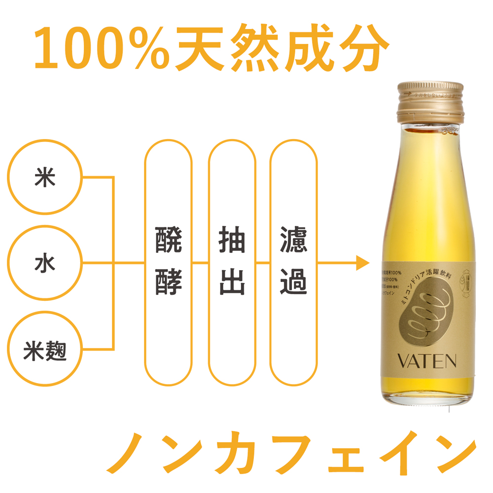 市場 VATEN 栄養ドリンク 20本 100mL 10本入× 公式 ２箱 送料無料 ミトコンドリア活躍飲料 バテン 天然成分100%