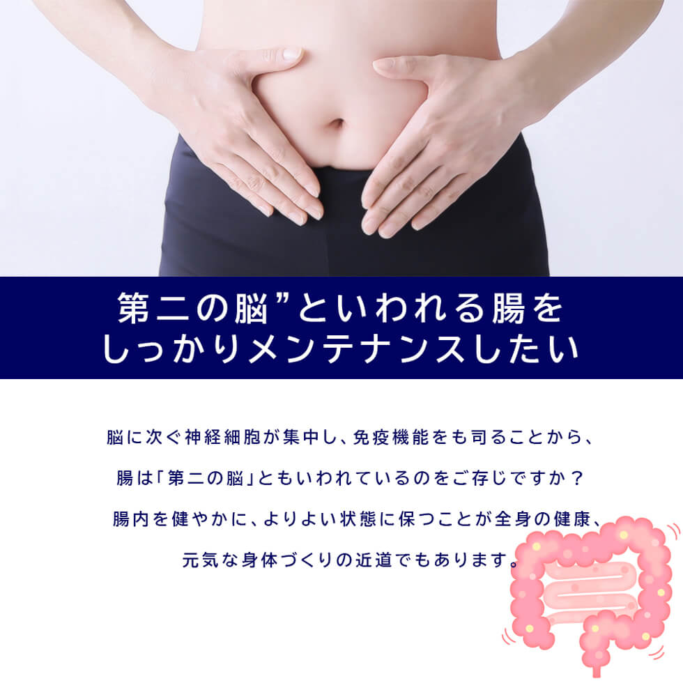 楽天市場 公式 Anp71 シナジー ブルーベリー 冷蔵 30本入 ケース 植物性乳酸菌 アントシアニン 送料無料 福光屋 公式ショップ