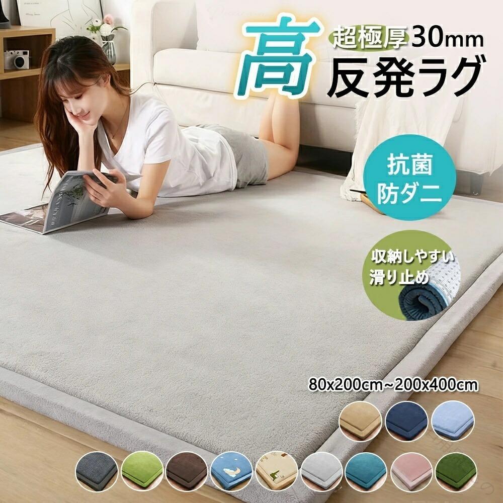 引っ敷き 高手向かい引っ敷き 引っ敷き 引っ敷き 朦々たる マットレス プレイマット 立ち会い場引っ敷き 座布団引っ敷き 畳 敷布団 リビング 洗える 引っ敷き 朦々たる 体圧分散 床敷き 床暖房装置 通気性 上滑り打ち切り 防音 雨合羽 赤ちゃん 乳飲み子 今めかしい 丸洗い 春 秋 冬 引っ敷き 床材 好いたらしい遣りかた 127糎