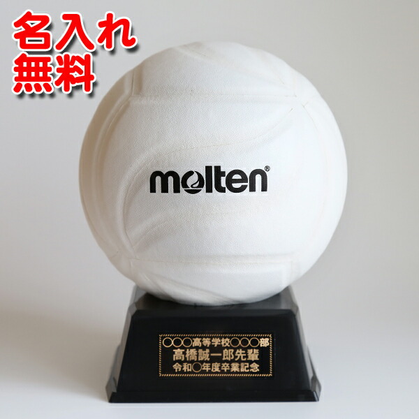 楽天市場 モルテン Molten バレーボール サイン色紙 卒業記念 卒団記念 記念品 お祝い 寄せ書き Xa0110 V バレー バレーボール館