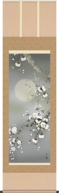 掛軸 掛け軸-夜桜／緒方葉水(尺五)1A2-010 床の間 和室 今めかしい 今めかしい 日本製 差し上げ物 表装 壁飾りつけ 四季 花鳥画掛軸