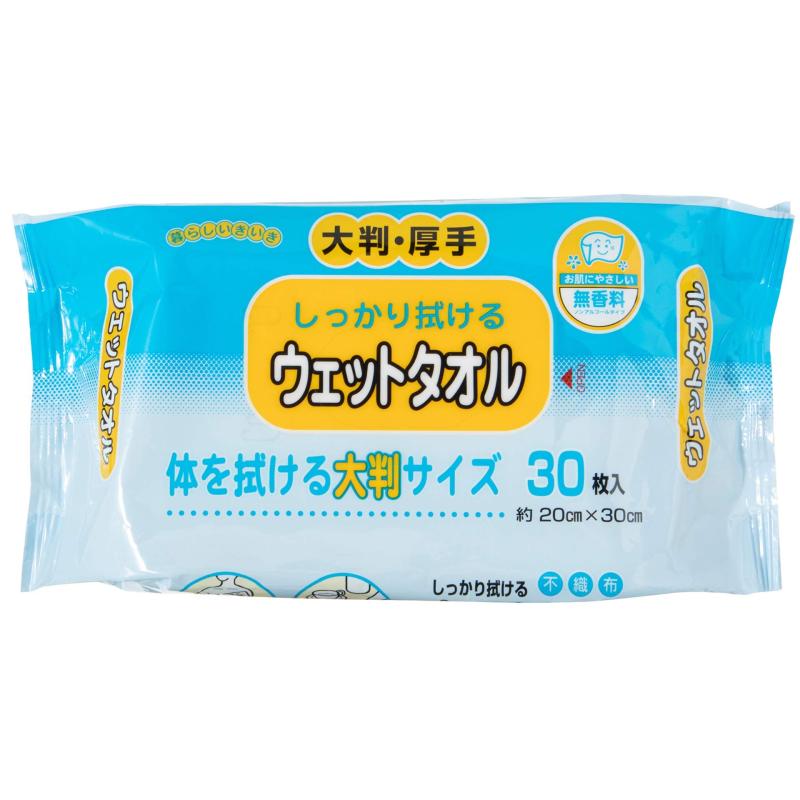 ストリックスデザイン 体拭きシート 大判 厚手 日本製 30枚 ×2個セット 約20×30cm 白 しっかり拭ける ウェットタオル 無香料 ノンアルコール KN-102|福禄寿