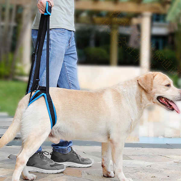 犬 ハーネス 歩行補助ハーネス 犬用ハーネス 介護用ハーネス 介護ハーネス 老犬 高齢犬 シニア犬 ケア 介護用品 介護用 犬用介護 ヘルニア 後ろ足 後足用 メール便