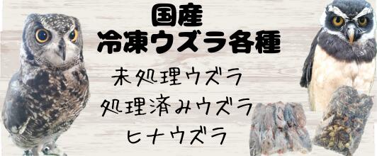 まみ　カットひよこ　100羽分 Amazon | エッグセパレーター ひよこ 卵黄分離器 卵黄身分け