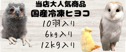業界最安値‼️冷凍ヒヨコ300羽 楽天市場】冷凍ヒヨコ12kg 約300羽分 フクロウ 鷹