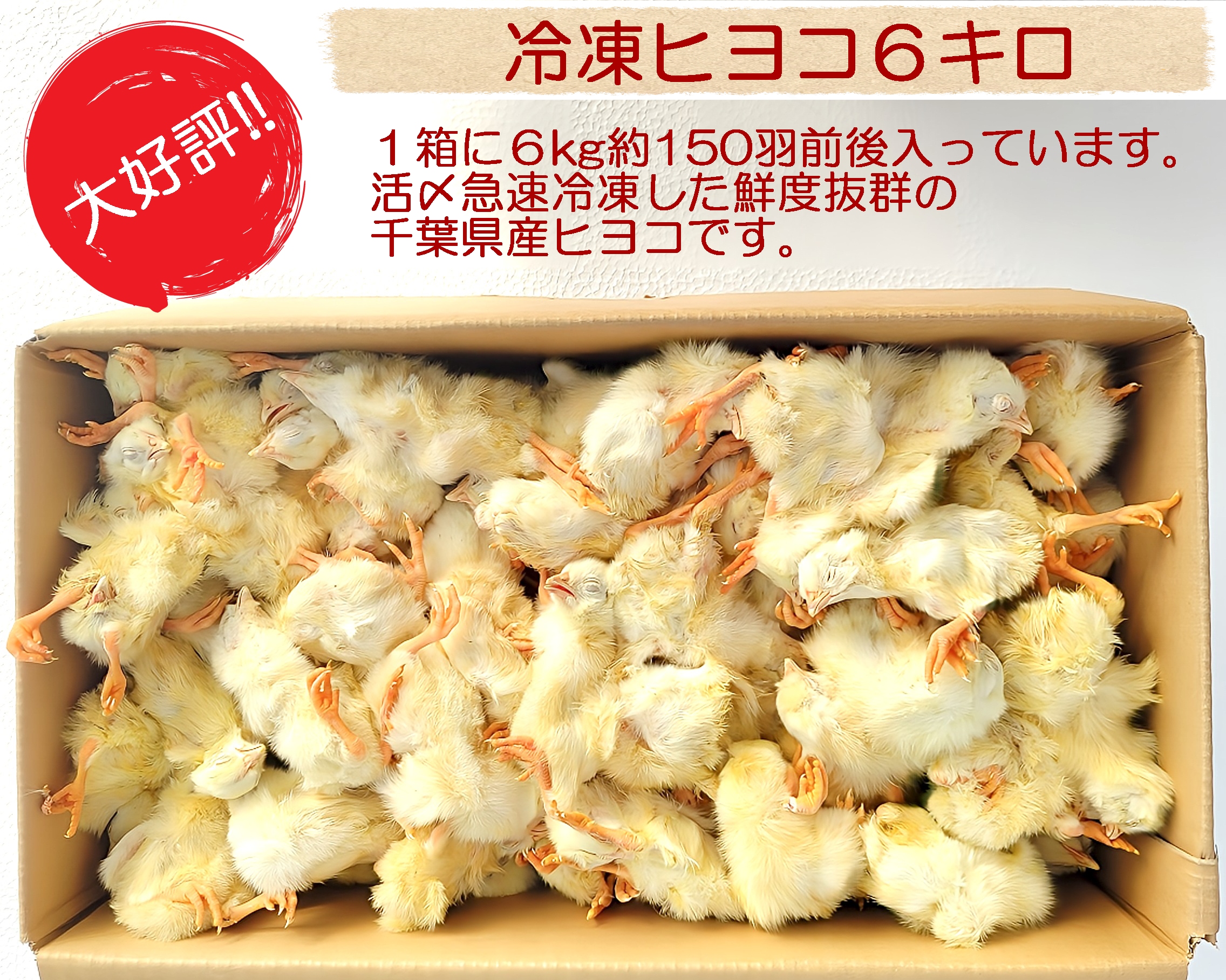 送料無料　冷凍ヒヨコ300羽 冷凍ヒヨコ 冷凍ひよこ 箱詰め12Kg（約300羽）の販売情報