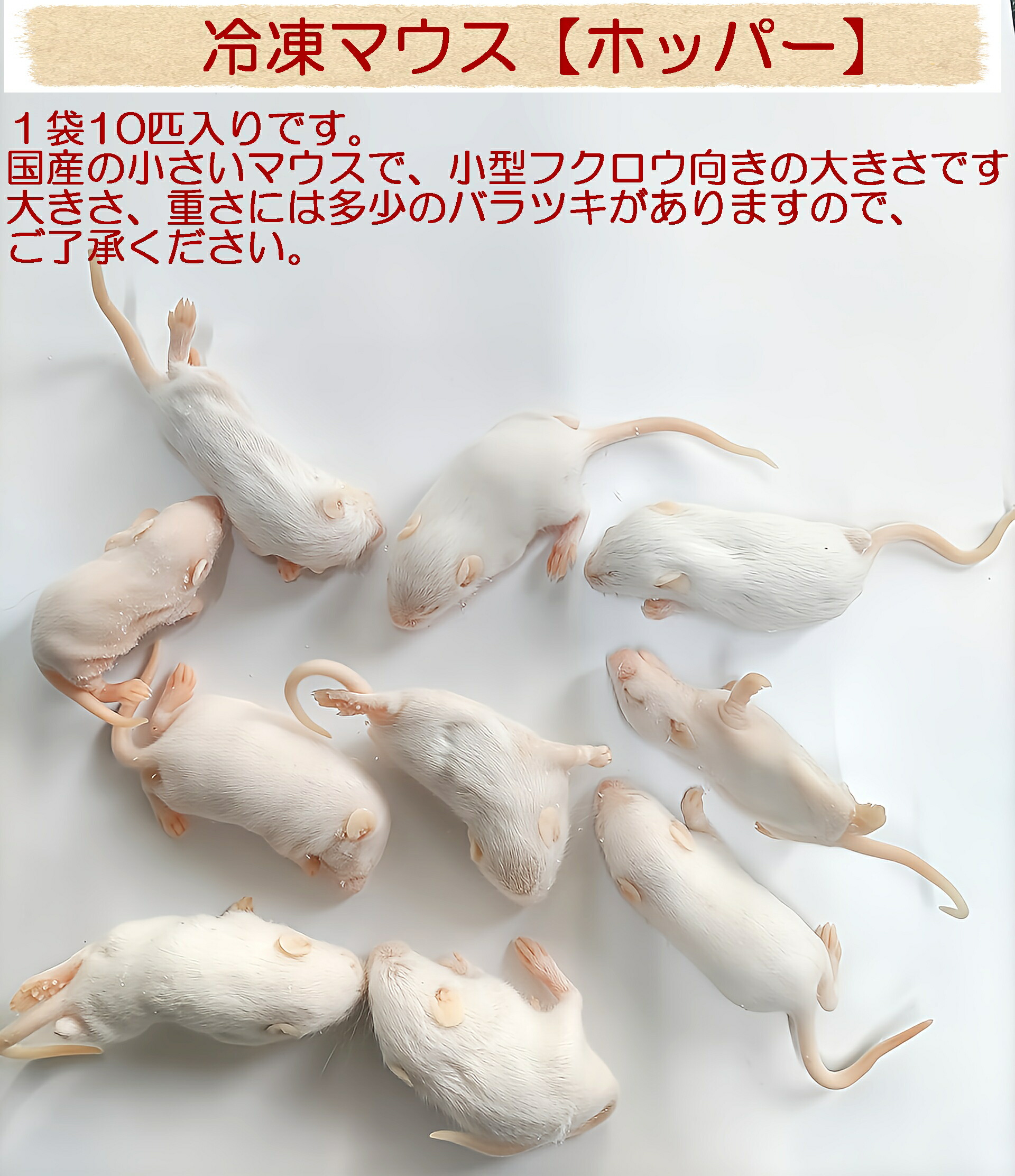 期間限定セール‼️ 国産冷凍ヒヨコ 300匹 ペット餌 北海道、沖縄