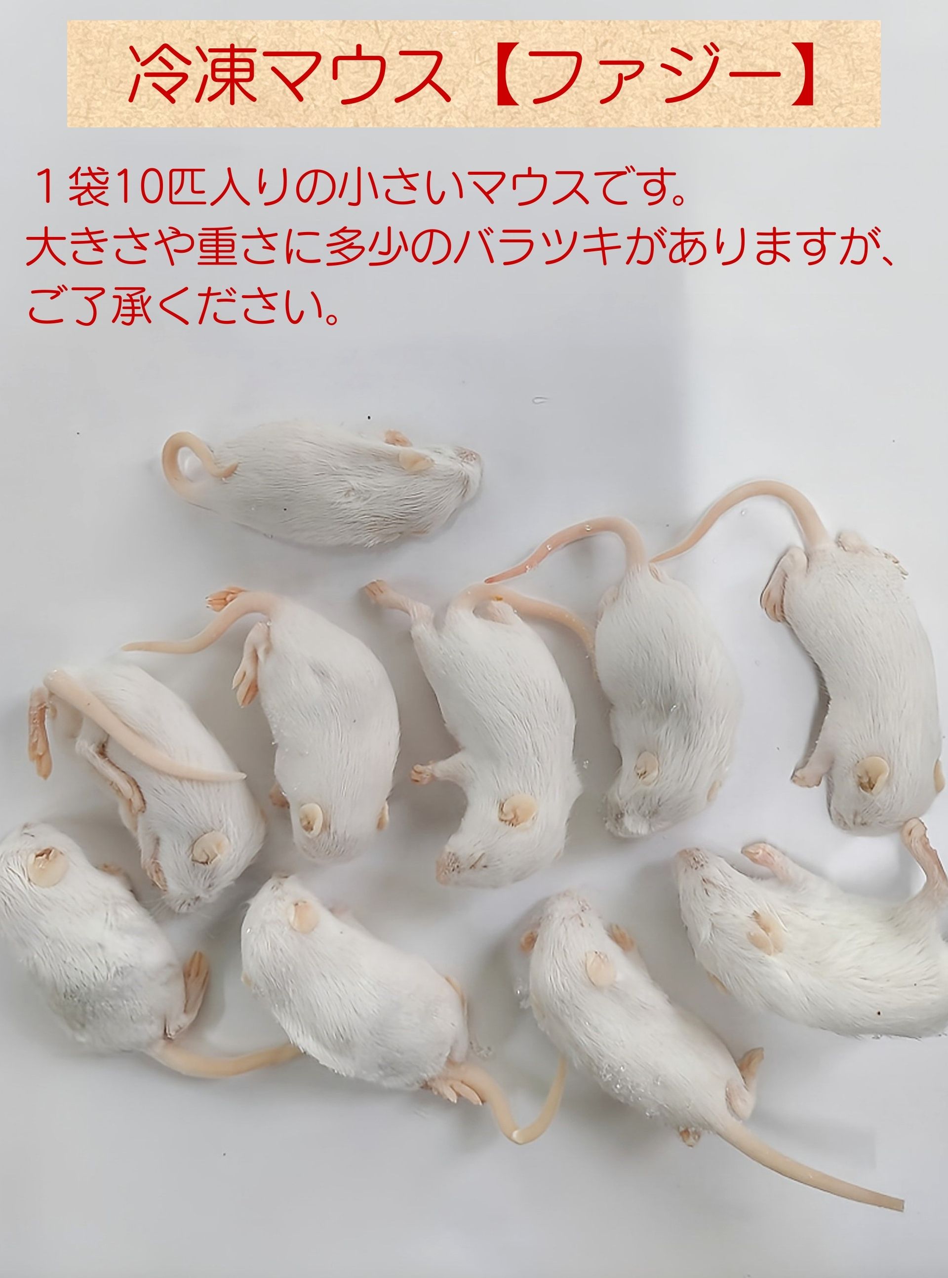 楽天市場】冷凍処理済みウズラ 60羽 10羽入り6袋 フクロウ 鷹