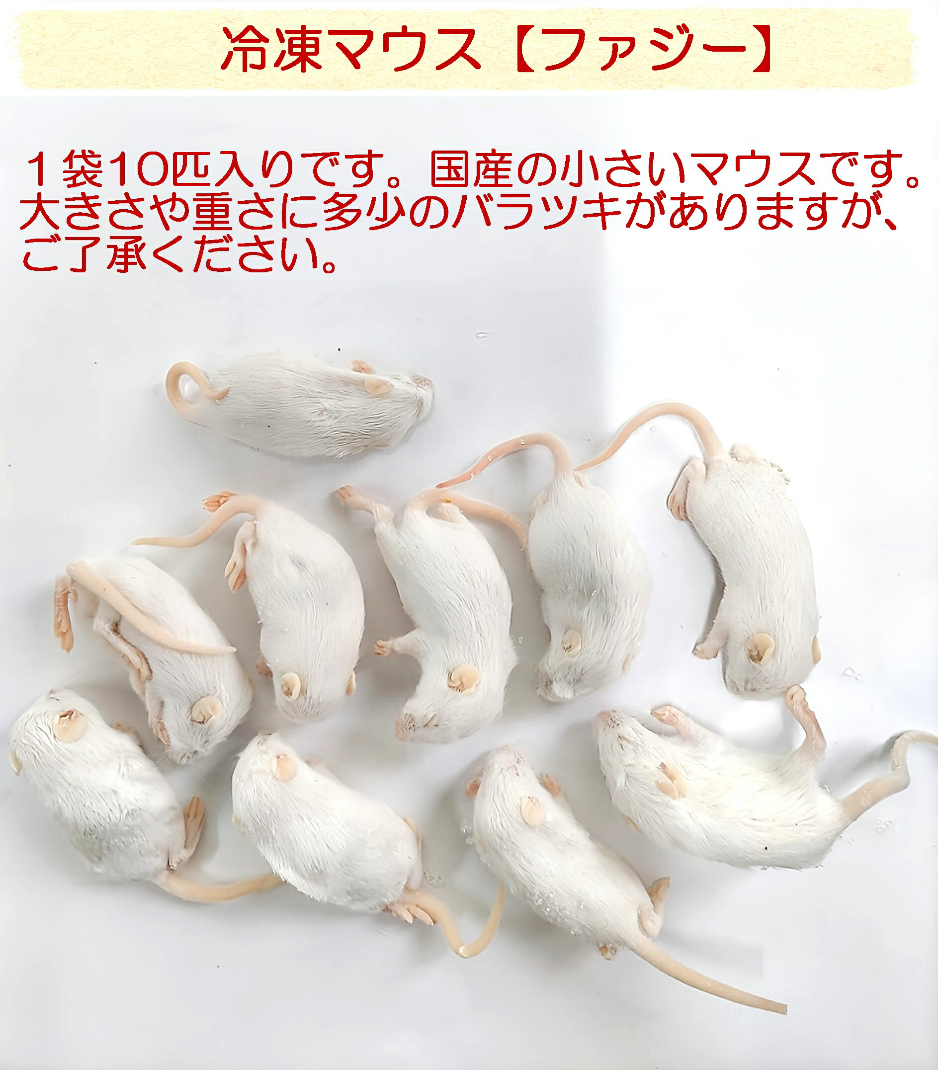 楽天市場】冷凍ヒナウズラ 約１ｋｇ(約500ｇ２袋入り) 国産 猛禽類 フクロウ 鷹 ハヤブサ エサ ペットフード : しあわせをよぶふくろうの城