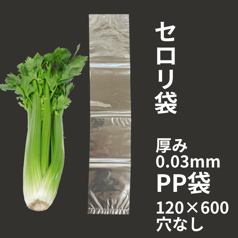 新入荷品目のごお引き回し