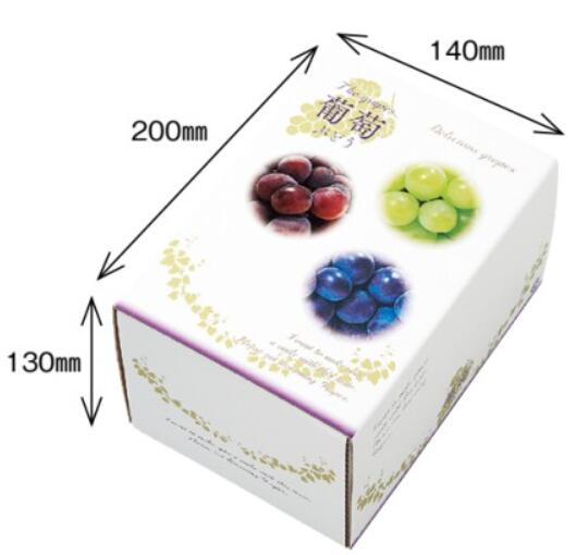 楽天市場】送料無料【10枚】シャインマスカット 箱 1kg フルーツ 楽天市場】送料無料【10枚】シャインマスカット 箱 1kg フルーツ