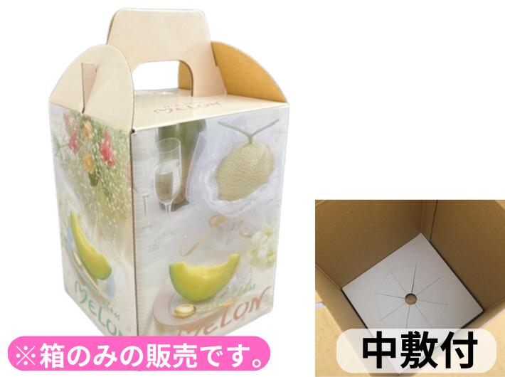 10枚】2ケ入・メロンBOX 北海道メロン F2 フルーツ 果物 贈答