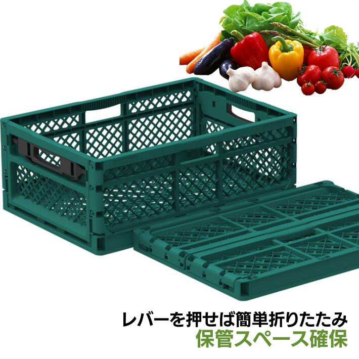 折りたたみコンテナ 6個セット 折りたたみコンテナ L 6セット バスケット 買い物かご RUG-4L