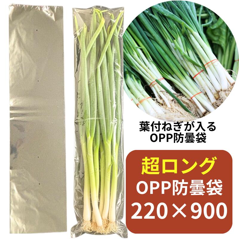 新入荷品目のごお引き回し