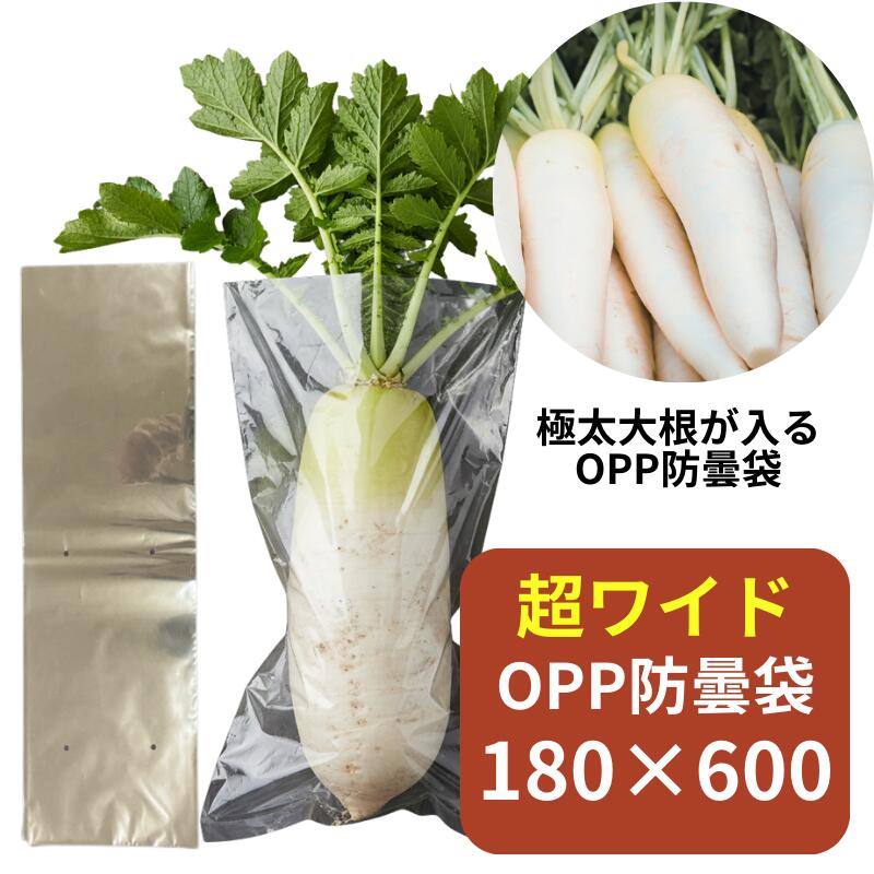 新入荷品目のごお引き回し