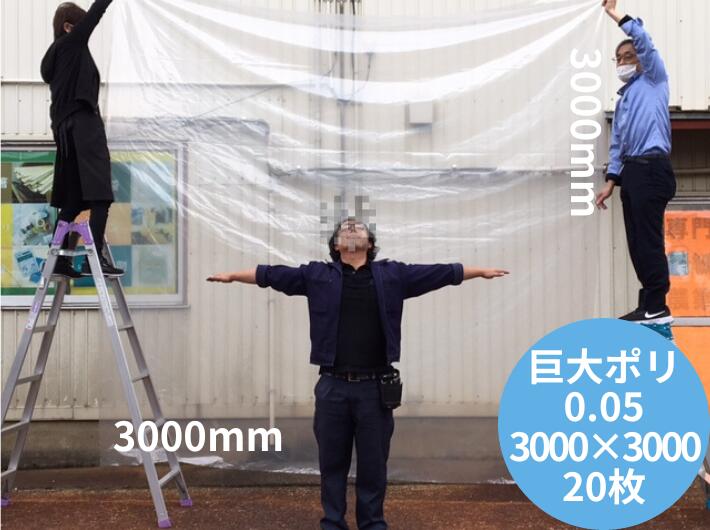 新入荷科目のご御引き回し