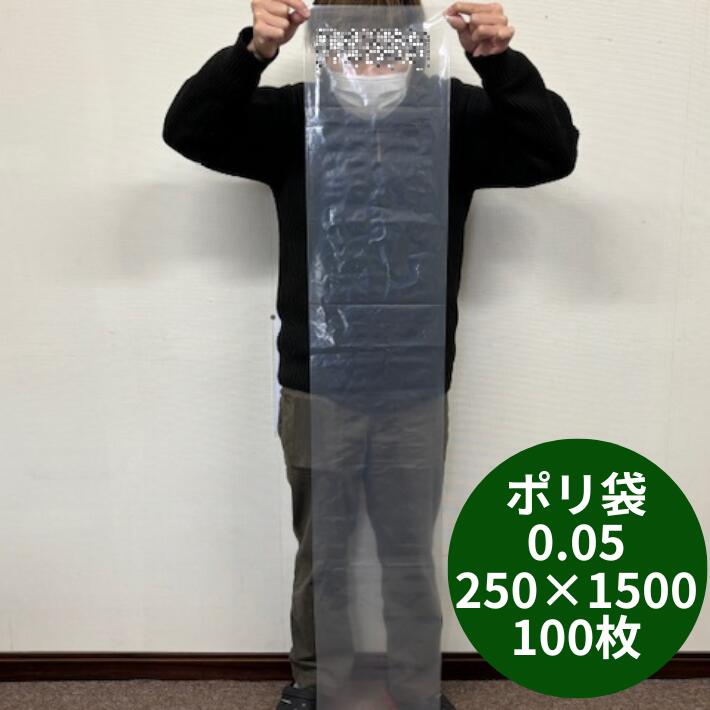 出品停止間近　激レア品　袋入り　1999年製 楽天市場】小分け【オリジナル】ポリ袋 0.05×250×1500mm【10枚】 ゆう