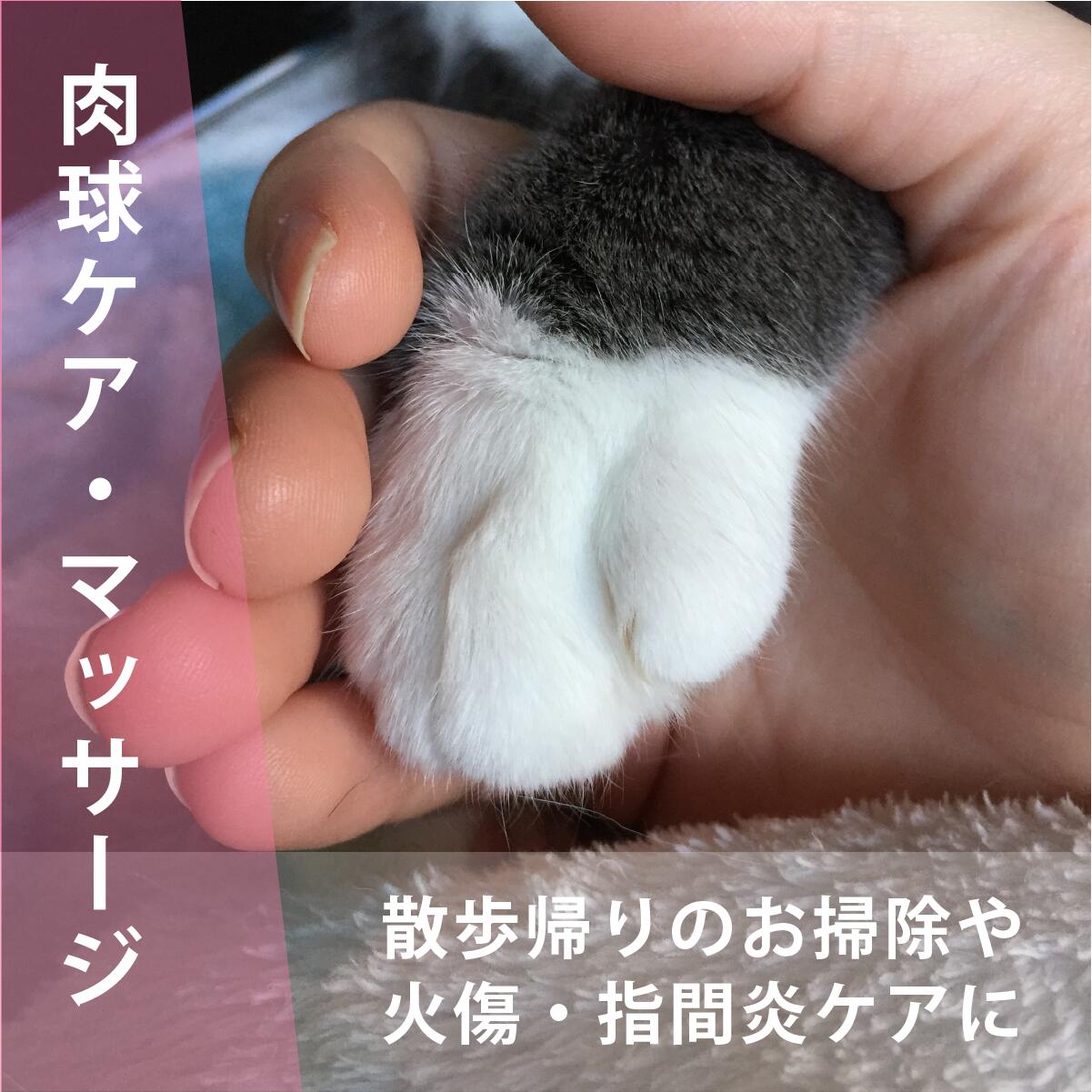 楽天市場】【 10% offクーポン対象 】 冬の乾燥対策 保湿化粧水「 ララ 