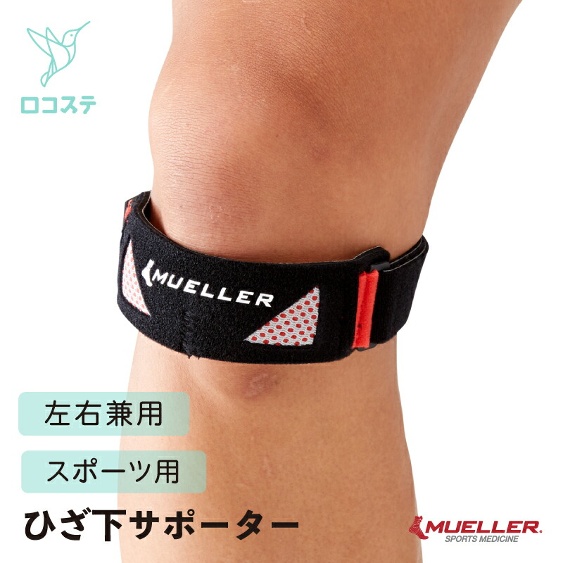 楽天市場】ミューラー 膝サポーター MAX ニーストラップ JPプラス
