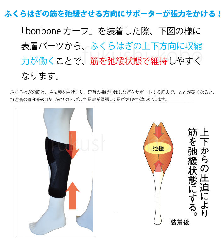 楽天市場 ふくらはぎ 足 サポーター 圧迫 着圧 薄手 スポーツ マラソン 運動 けり足 Bonboneカーフ 片足 左右兼用 ダイヤ工業 宅配便 送料無料 健康用品メーカーサイト 福祉工房