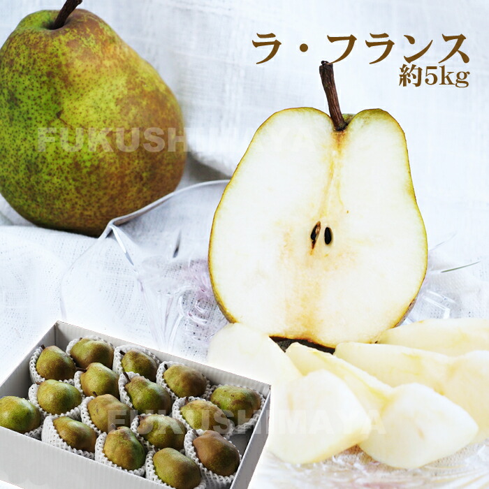 楽天市場】洋梨 ラ・フランス 約1.8kg（5〜9玉入）【発送時期：11月