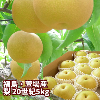 20世紀 梨 なし 約5kg（9～18玉入）【発送時期：9月上旬頃～9月下旬頃まで予定】 福島 かやば 萱場 フルーツ 果物 ギフト プレゼント 贈答 送料無料 御祝 内祝 手土産 お取り寄せ グルメ