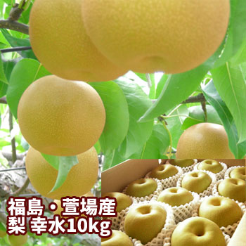 幸水 梨 なし 約10kg（18～36玉入）【発送時期：8月中旬頃～8月下旬頃まで予定】 福島 かやば 萱場 フルーツ 果物 ギフト プレゼント 贈答 送料無料 御祝 内祝 手土産 お取り寄せ グルメ