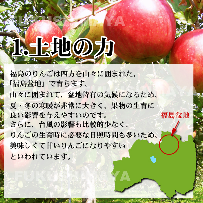 福島県産サンふじりんご約4.5kg箱9～25玉入訳ありご家庭用リンゴ大きさ不揃い傷訳ありリンゴ蜜お得傷ありキズありおいしい食品ロス