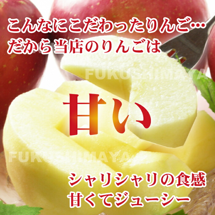 福島県産サンふじりんご約4.5kg箱9～25玉入訳ありご家庭用リンゴ大きさ不揃い傷訳ありリンゴ蜜お得傷ありキズありおいしい食品ロス
