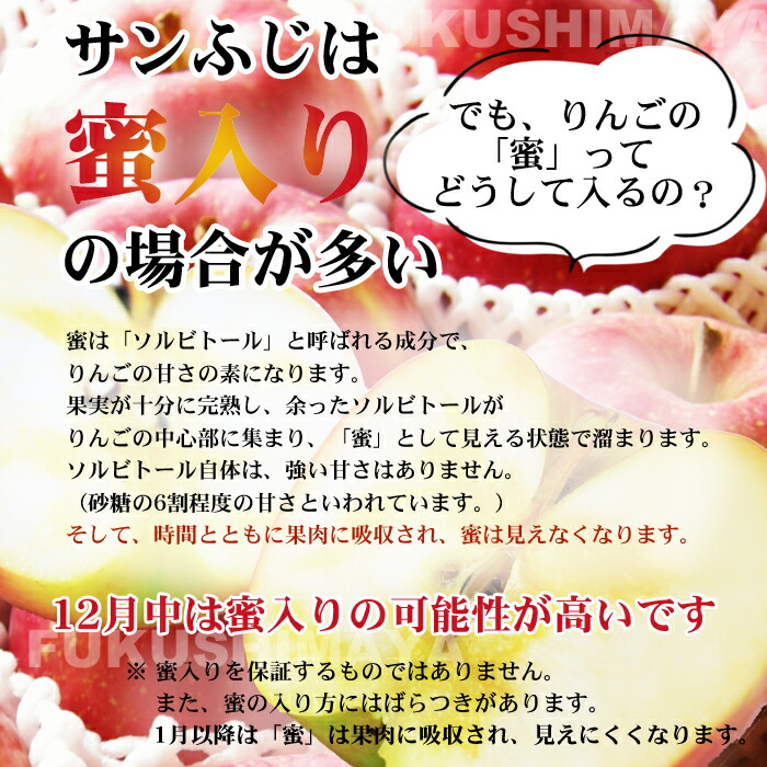 メイルオーダー 福島県産 サンふじ りんご 約13.5kg箱 9kg箱+4.5kg箱 27〜75玉入 訳あり ご家庭用 リンゴ 大きさ 不揃い 傷  訳ありリンゴ 蜜入 お得 傷あり キズあり おいしい qdtek.vn