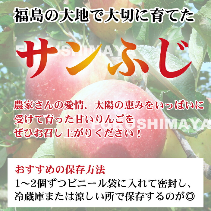 福島県産サンふじりんご約4.5kg箱9～25玉入訳ありご家庭用リンゴ大きさ不揃い傷訳ありリンゴ蜜お得傷ありキズありおいしい食品ロス