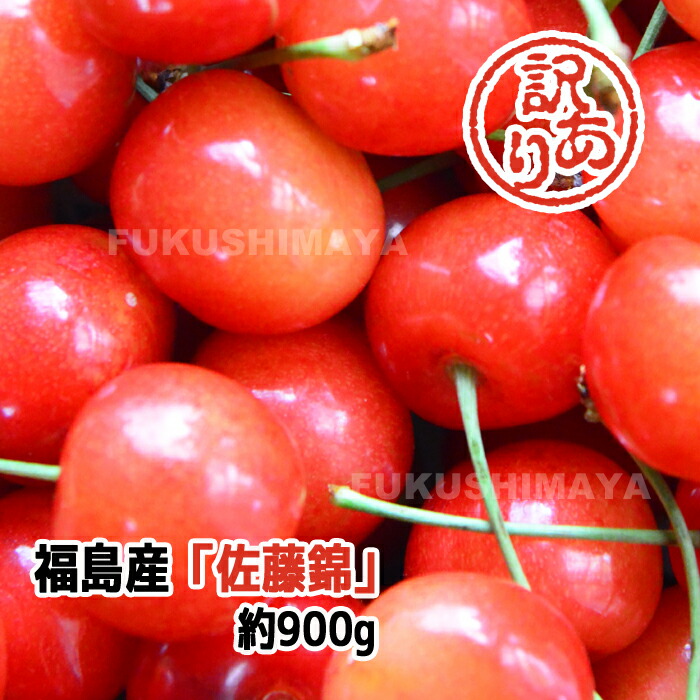 訳あり 佐藤錦 さくらんぼ 約900g 不揃い 着色不足 傷あり【発送時期：6月中旬～6月下旬頃まで予定】福島 家庭用 訳アリ お得 食品 フルーツ 果物