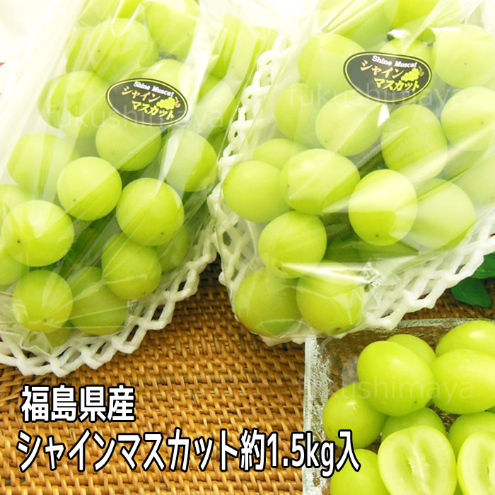 楽天市場】【10/4 10:00～枚数限定クーポンで15%オフ！】福島県産 サンふじ りんご 約4.5kg箱 9〜25玉入 訳あり ご家庭用 リンゴ  大きさ 不揃い 傷 訳ありリンゴ 蜜 お得 傷あり キズあり おいしい 食品ロス 【11月末ごろから発送予定】 : こだわり横丁 ふくしまや