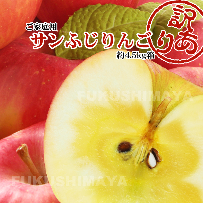 福島県産サンふじりんご4.5kg箱9～25玉入2020年予約訳ありご家庭用リンゴ大きさ不揃い傷訳ありリンゴ蜜入お得お歳暮傷ありキズありおいしい