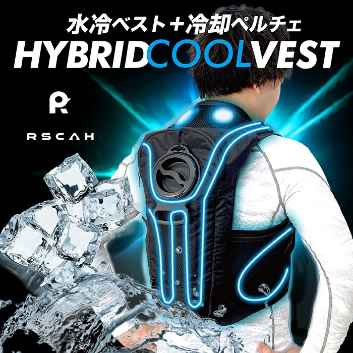 楽天市場】ひんやり水冷ベスト HYBRID WHV-24F DAISHIN(大進