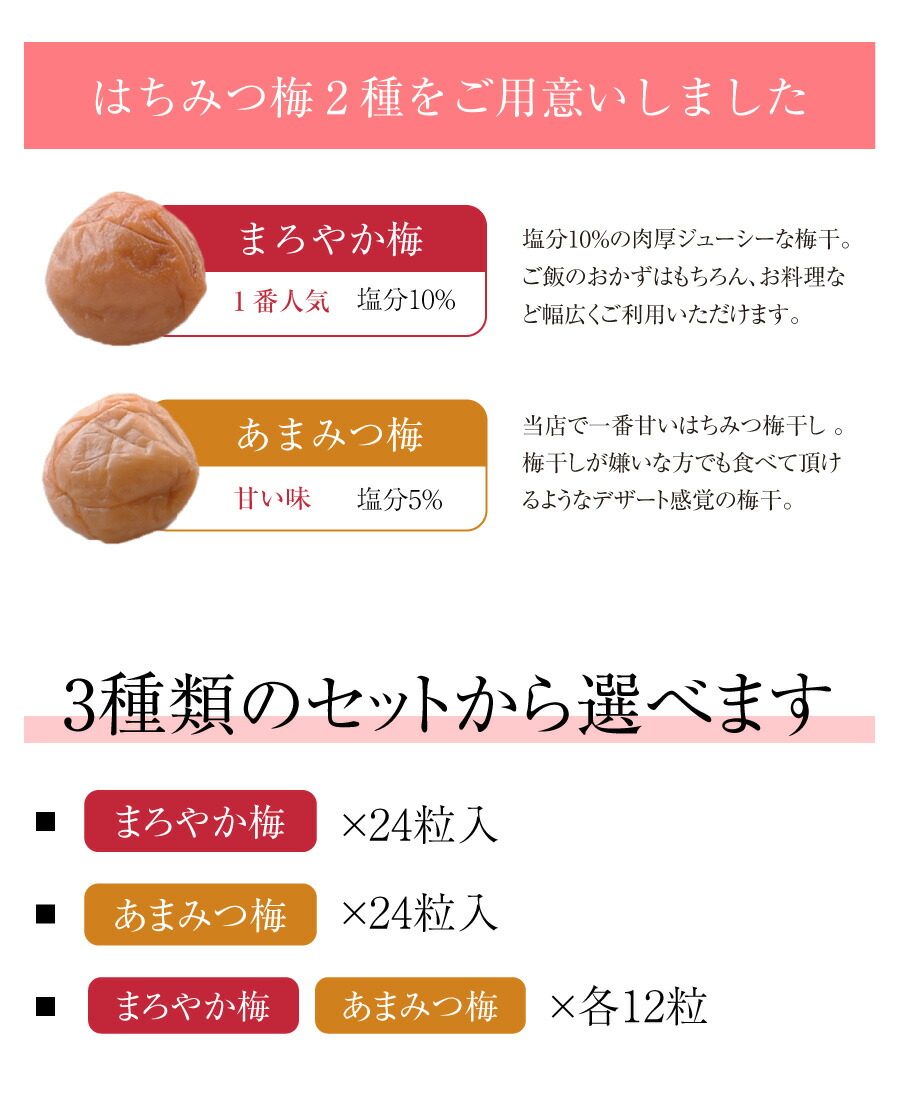 父の日 早割 ギフト 送料無料 梅干し はちみつ梅 減塩 国産 プレゼント 免疫力アップ 疲労回復 グルメ大賞受賞 最高級紀州はちみつ梅 華結 はなむすび 24粒入 Schwimmbad Delphine De