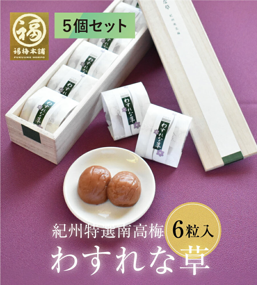 楽天市場】スーパークレソン 根々爽草（こんこんそうそう） 1.5